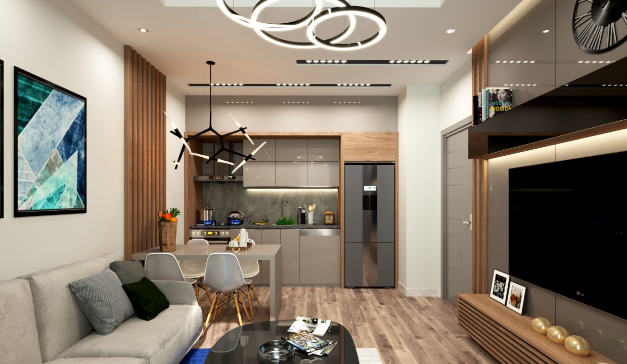 Hasan Tunç-15477-5-iç mekan-1+1-salon-1